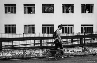 Pessoa caminhando com cachorro diante de um prédio de janelas iguais